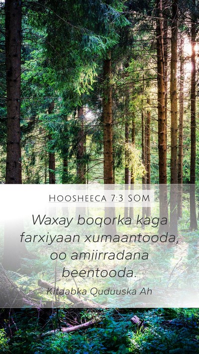 Hoosheeca 7:3 SOM Bible Verse Image