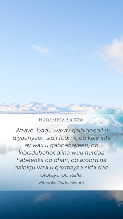 Hoosheeca 7:6 SOM Bible Verse Image