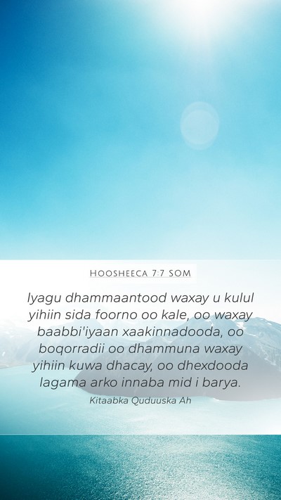 Hoosheeca 7:7 SOM Bible Verse Image