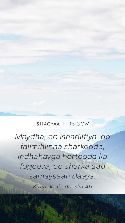 Ishacyaah 1:16 SOM Bible Verse Image