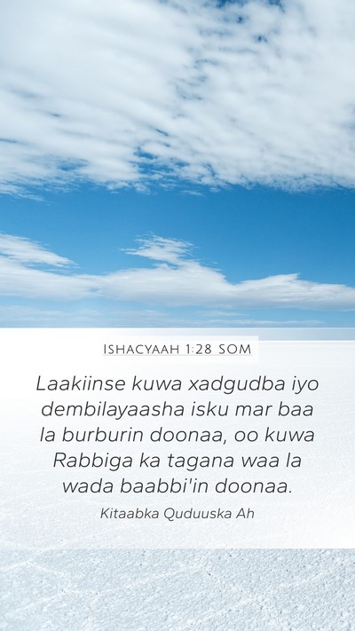 Ishacyaah 1:28 SOM Bible Verse Image