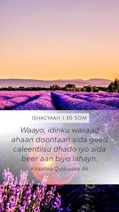 Ishacyaah 1:30 SOM Bible Verse Image