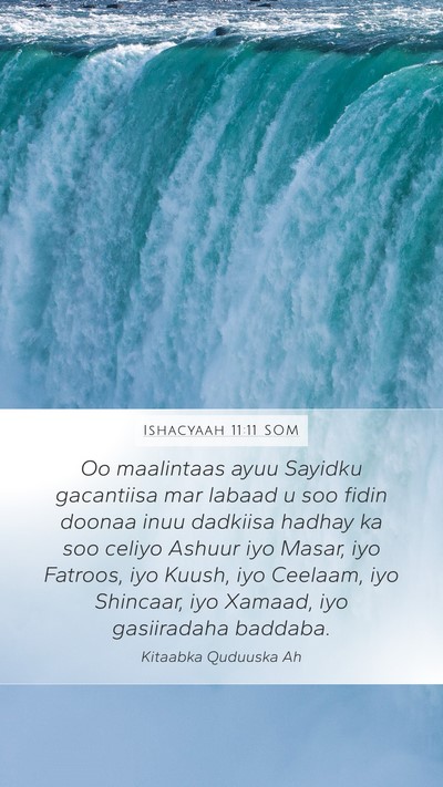 Ishacyaah 11:11 SOM Bible Verse Image