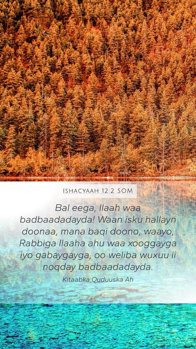Ishacyaah 12:2 SOM Bible Verse Image