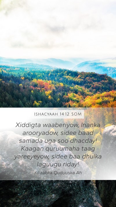 Ishacyaah 14:12 SOM Bible Verse Image
