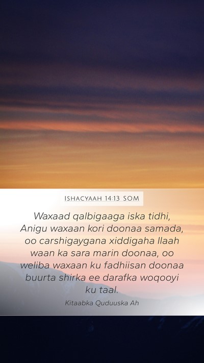 Ishacyaah 14:13 SOM Bible Verse Image