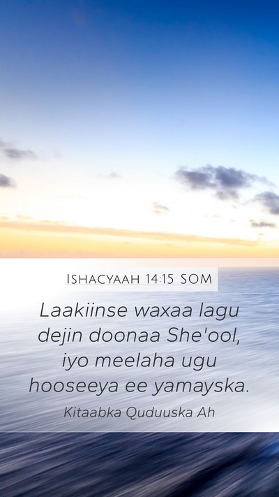 Ishacyaah 14:15 SOM Bible Verse Image