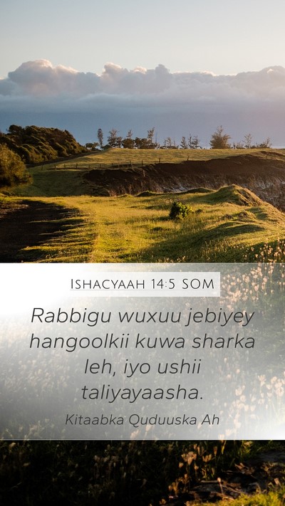 Ishacyaah 14:5 SOM Bible Verse Image