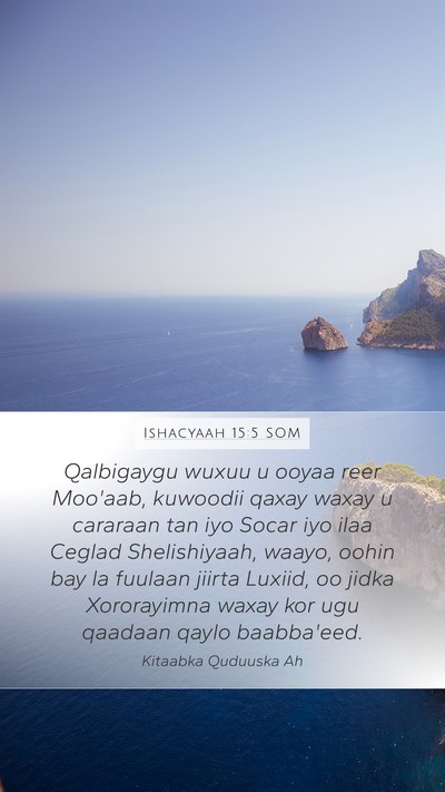 Ishacyaah 15:5 SOM Bible Verse Image