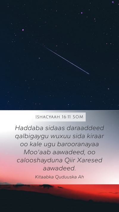 Ishacyaah 16:11 SOM Bible Verse Image