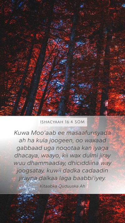 Ishacyaah 16:4 SOM Bible Verse Image