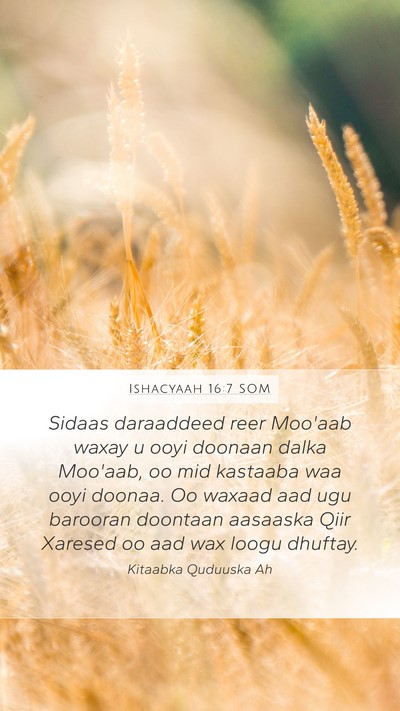 Ishacyaah 16:7 SOM Bible Verse Image