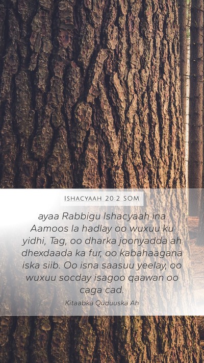 Ishacyaah 20:2 SOM Bible Verse Image