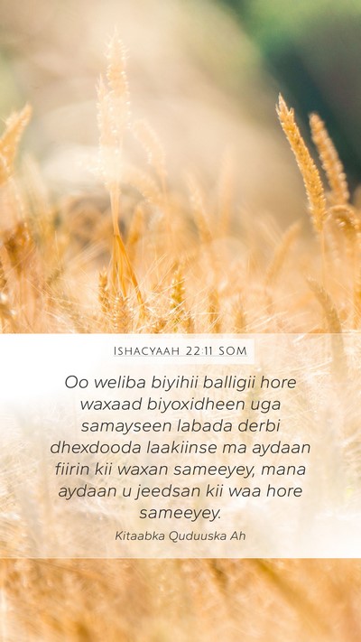 Ishacyaah 22:11 SOM Bible Verse Image