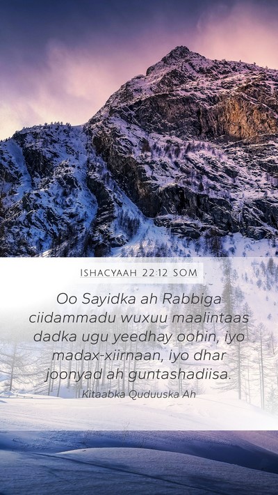 Ishacyaah 22:12 SOM Bible Verse Image