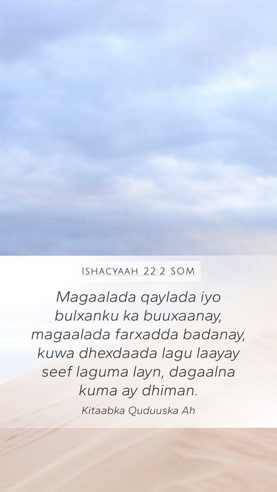 Ishacyaah 22:2 SOM Bible Verse Image