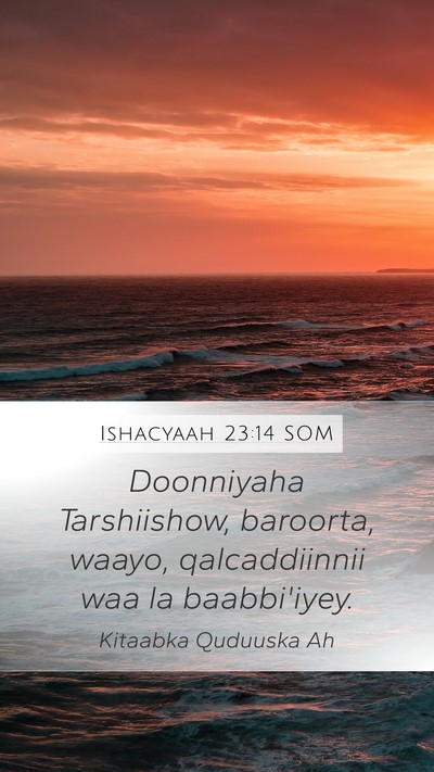 Ishacyaah 23:14 SOM Bible Verse Image