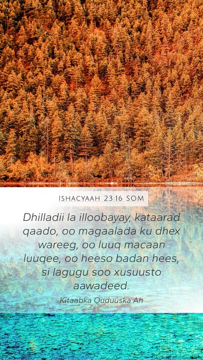 Ishacyaah 23:16 SOM Bible Verse Image