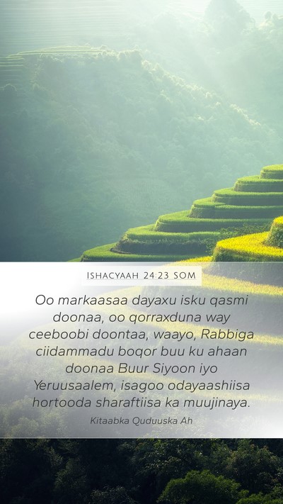 Ishacyaah 24:23 SOM Bible Verse Image