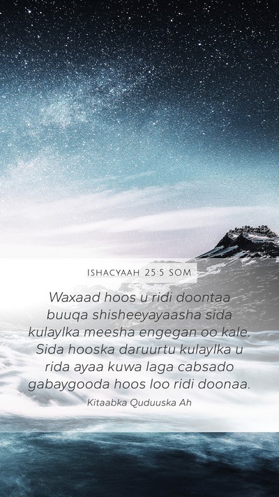 Ishacyaah 25:5 SOM Bible Verse Image