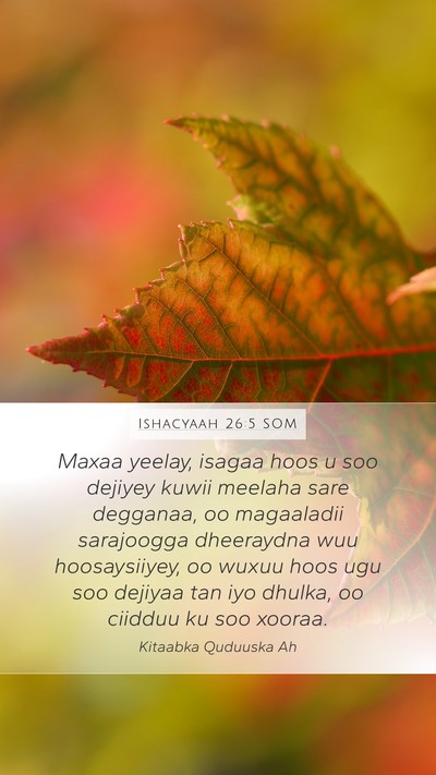 Ishacyaah 26:5 SOM Bible Verse Image