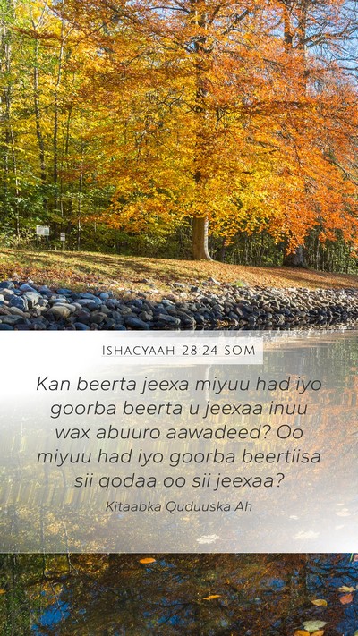 Ishacyaah 28:24 SOM Bible Verse Image