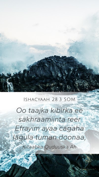 Ishacyaah 28:3 SOM Bible Verse Image
