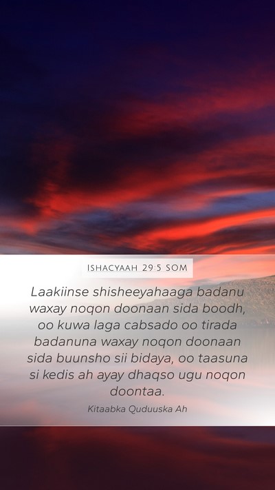 Ishacyaah 29:5 SOM Bible Verse Image