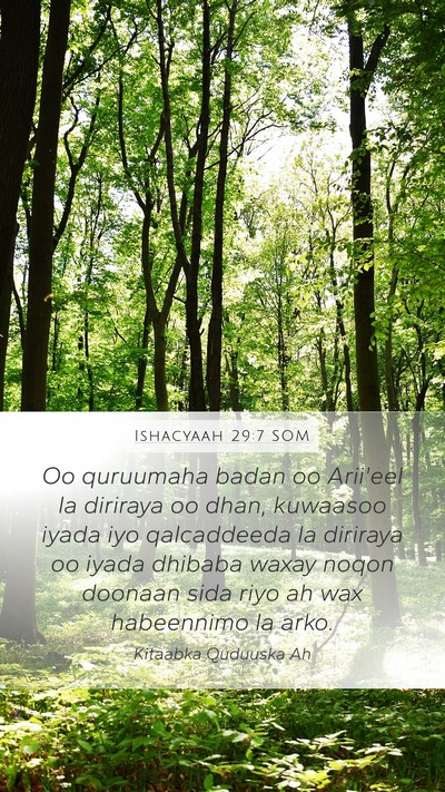 Ishacyaah 29:7 SOM Bible Verse Image