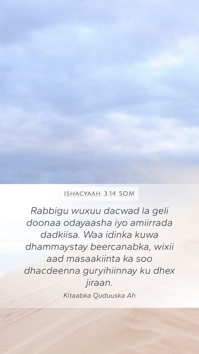 Ishacyaah 3:14 SOM Bible Verse Image