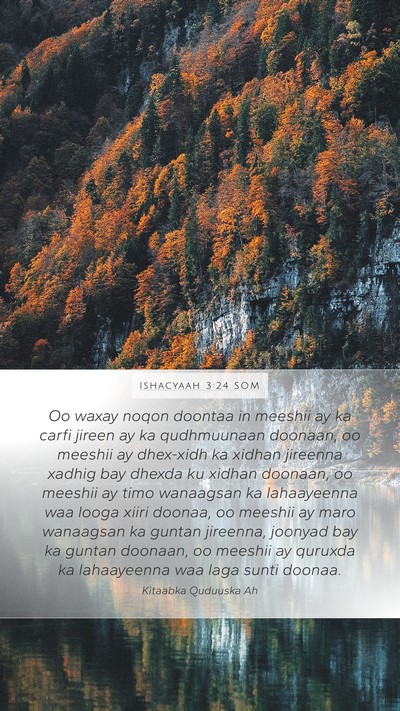 Ishacyaah 3:24 SOM Bible Verse Image