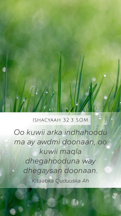 Ishacyaah 32:3 SOM Bible Verse Image