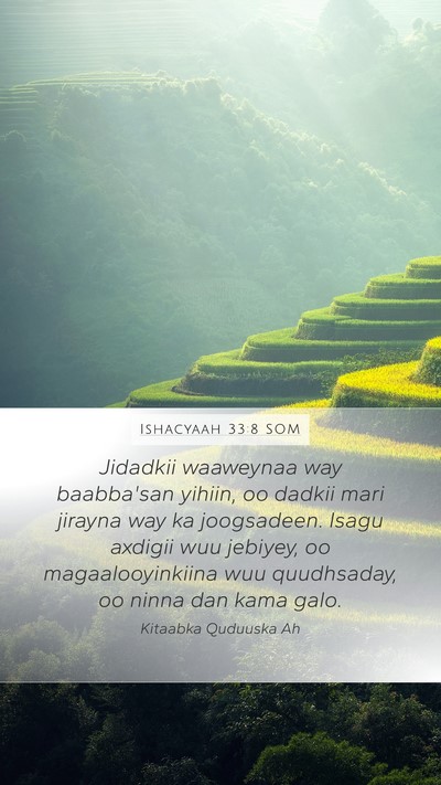 Ishacyaah 33:8 SOM Bible Verse Image