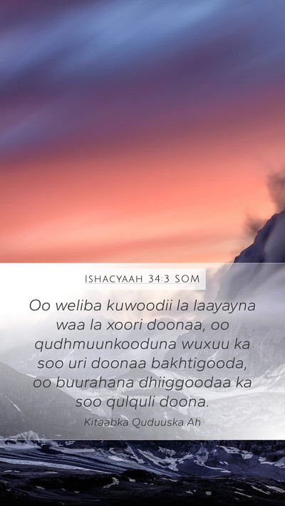 Ishacyaah 34:3 SOM Bible Verse Image