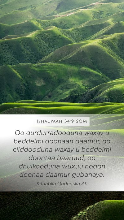 Ishacyaah 34:9 SOM Bible Verse Image