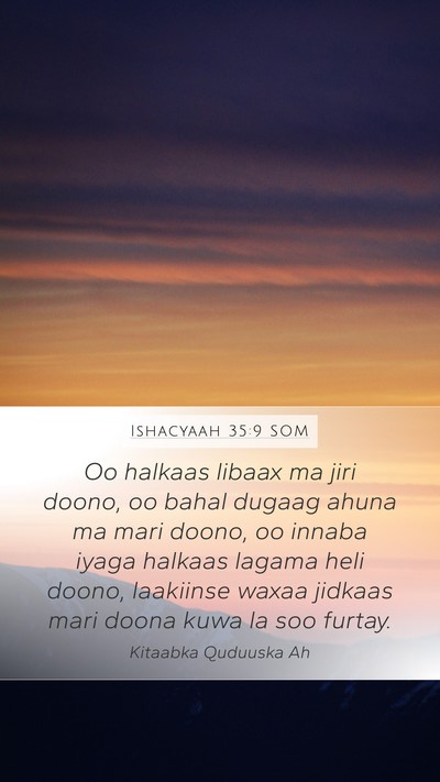 Ishacyaah 35:9 SOM Bible Verse Image