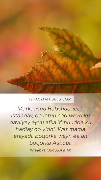 Ishacyaah 36:13 SOM Bible Verse Image