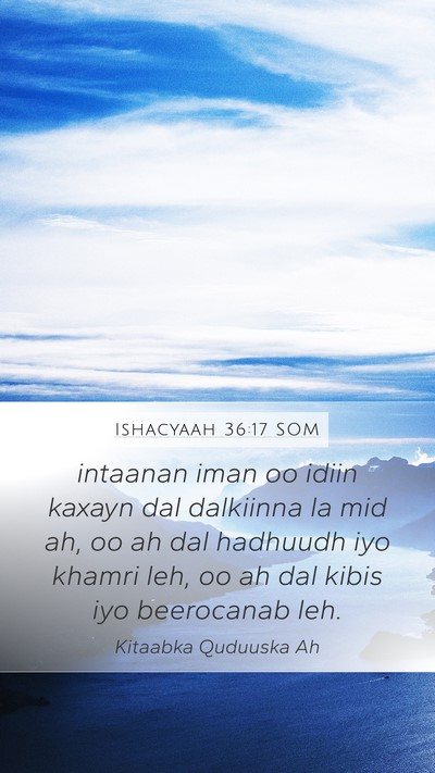 Ishacyaah 36:17 SOM Mobile Phone Wallpaper - intaanan iman oo idiin kaxayn dal dalkiinna la - Mobile Bible Verse Wallpaper