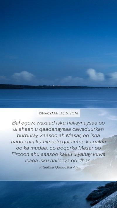 Ishacyaah 36:6 SOM Bible Verse Image