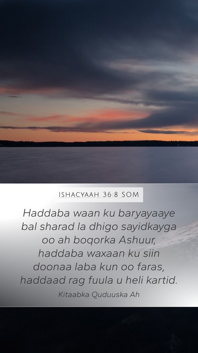 Ishacyaah 36:8 SOM Bible Verse Image