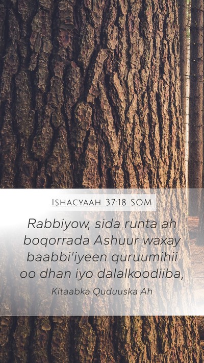 Ishacyaah 37:18 SOM Bible Verse Image