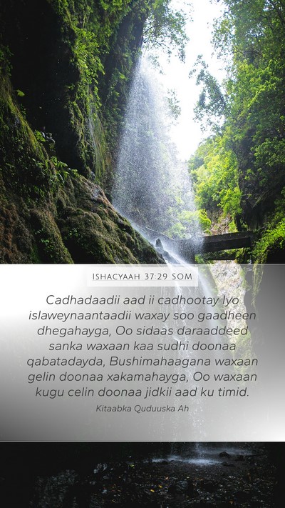 Ishacyaah 37:29 SOM Bible Verse Image