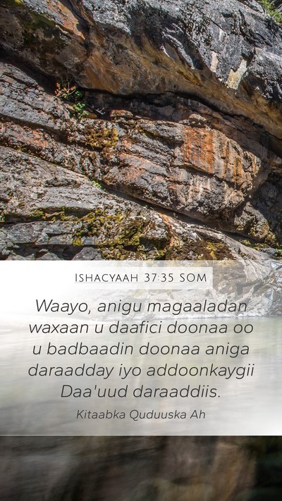 Ishacyaah 37:35 SOM Bible Verse Image