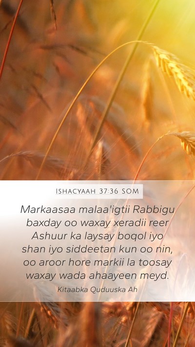 Ishacyaah 37:36 SOM Bible Verse Image