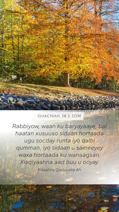Ishacyaah 38:3 SOM Bible Verse Image