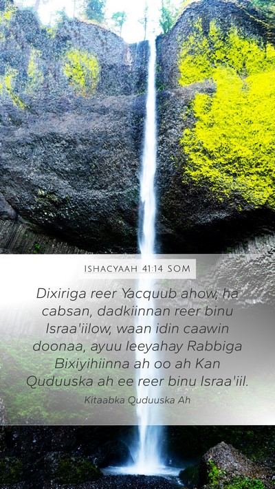 Ishacyaah 41:14 SOM Bible Verse Image