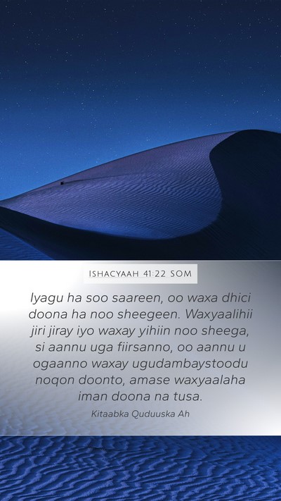 Ishacyaah 41:22 SOM Bible Verse Image