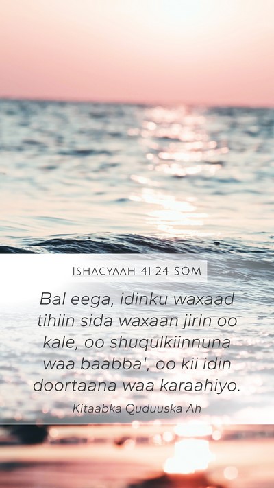 Ishacyaah 41:24 SOM Bible Verse Image