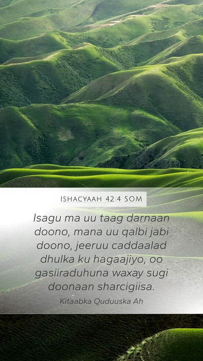 Ishacyaah 42:4 SOM Bible Verse Image
