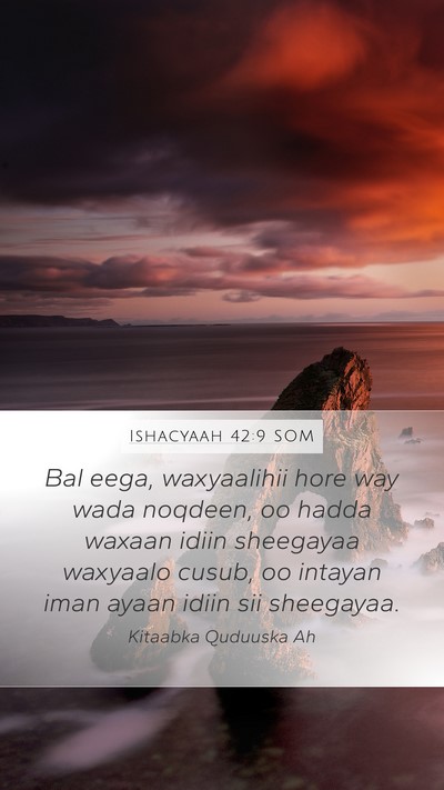 Ishacyaah 42:9 SOM Bible Verse Image